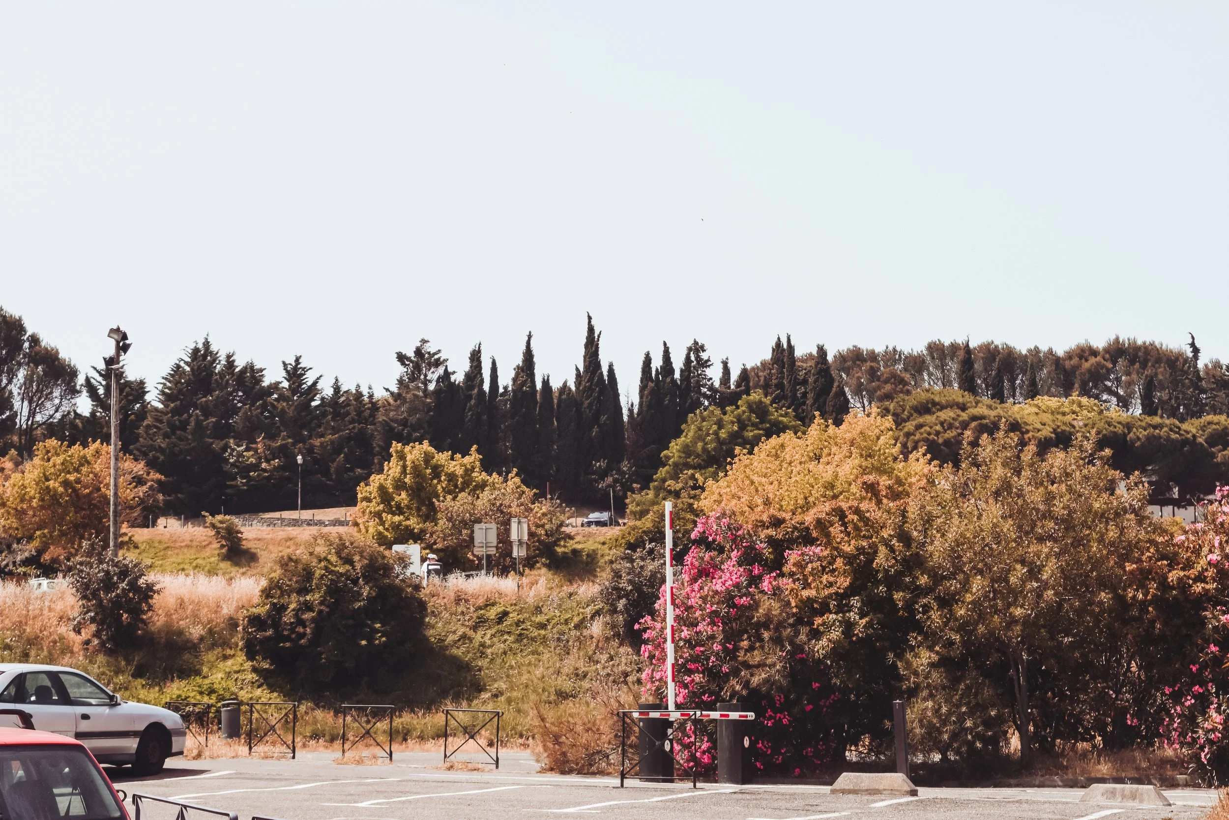 DSC_0209.jpg
