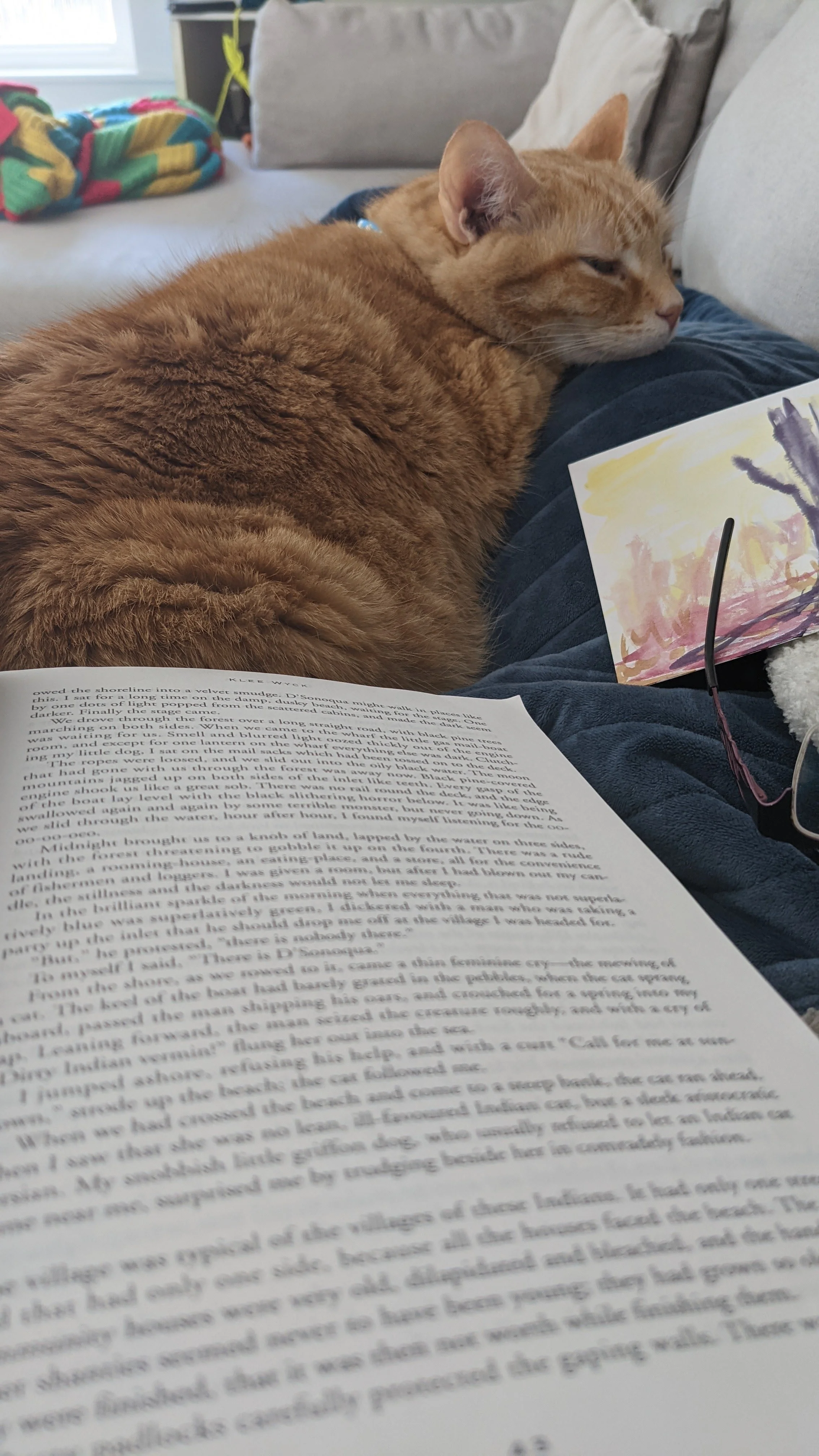 My Self-Care Journey