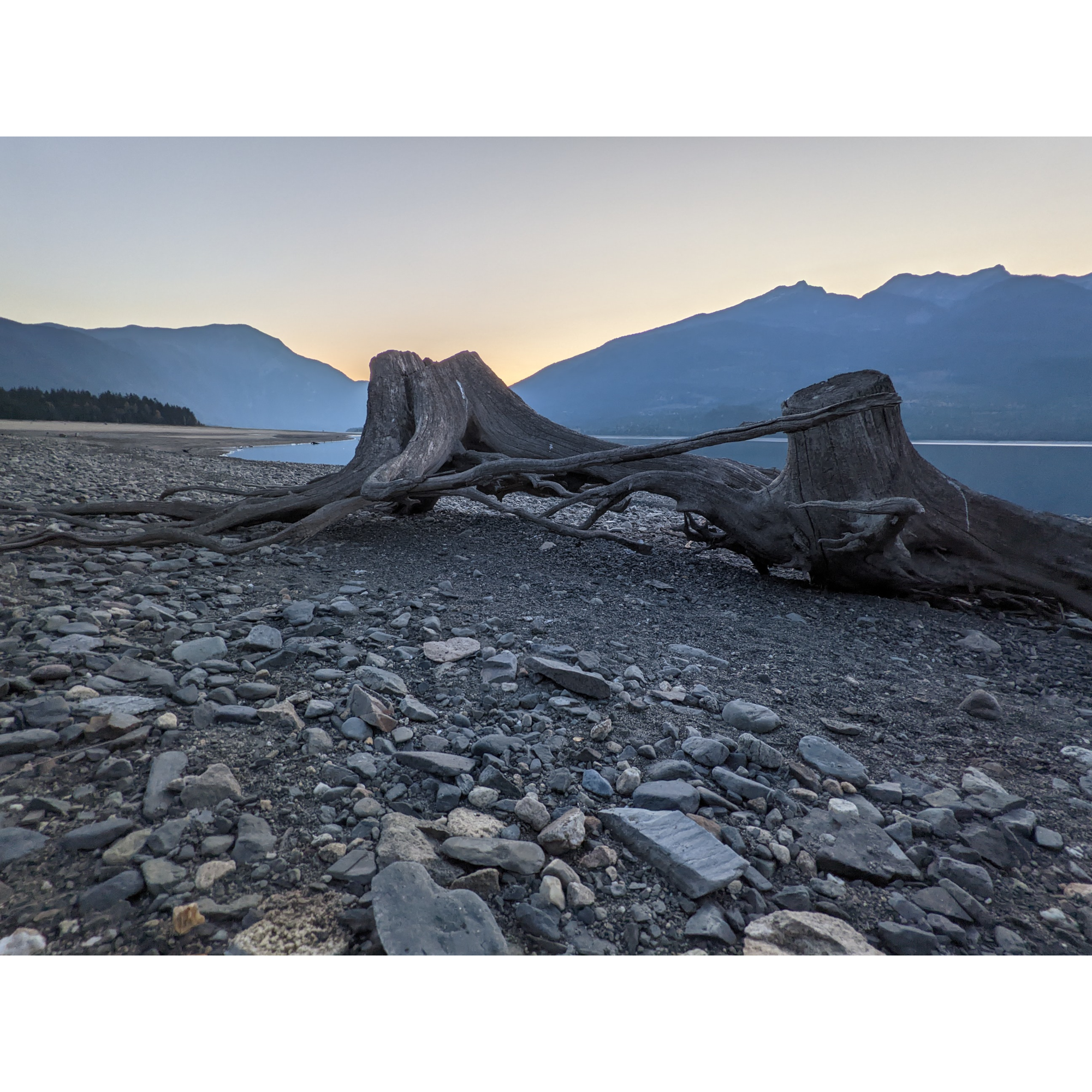 It’s a White People Problem