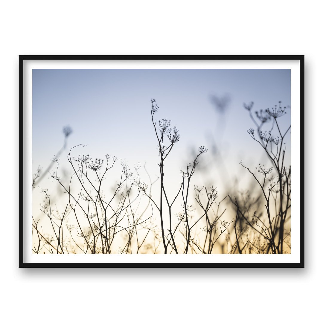 Bloom_Landscape_Mock.jpg