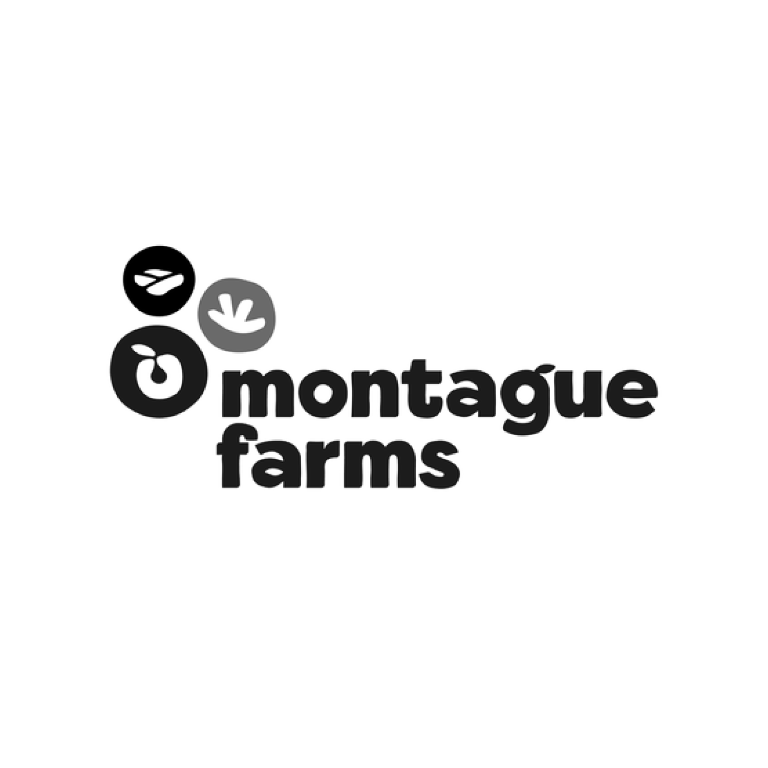 montague farms