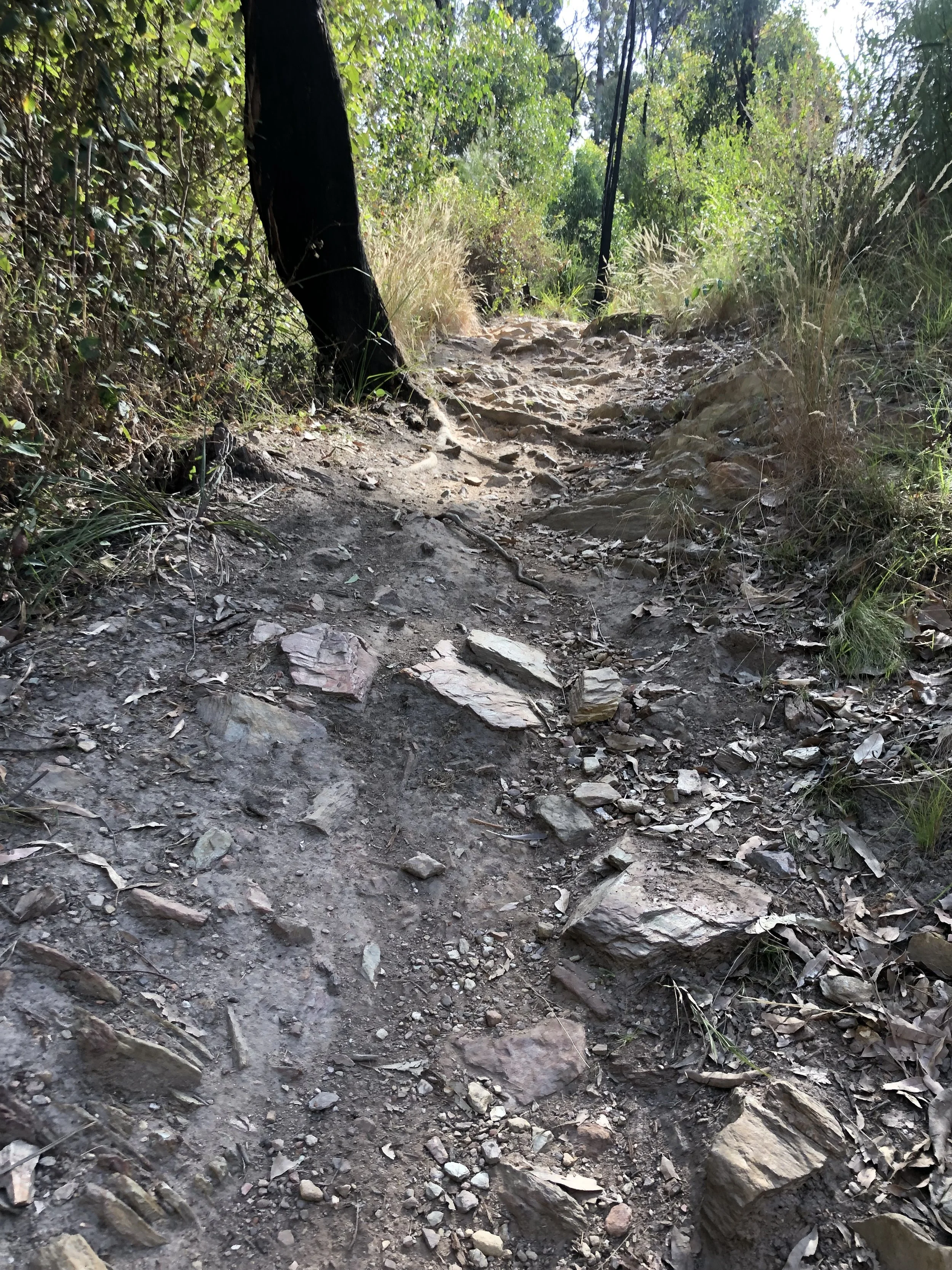 Great trails within 3hrs of Canberra- Tathra — Dirt Maidens