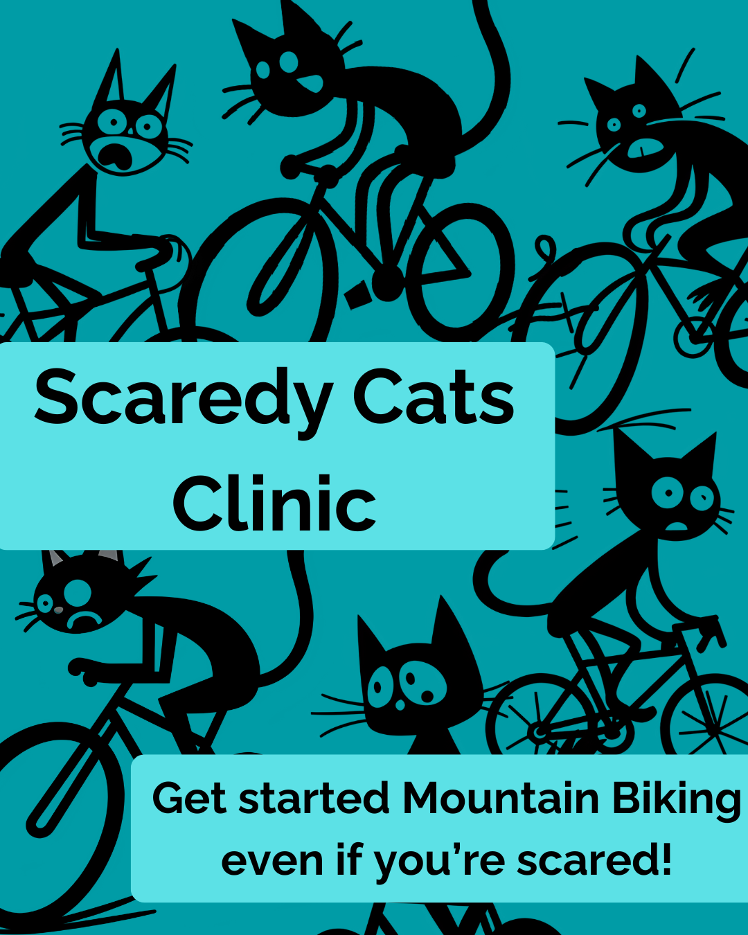 Scaredy Cats Clinic