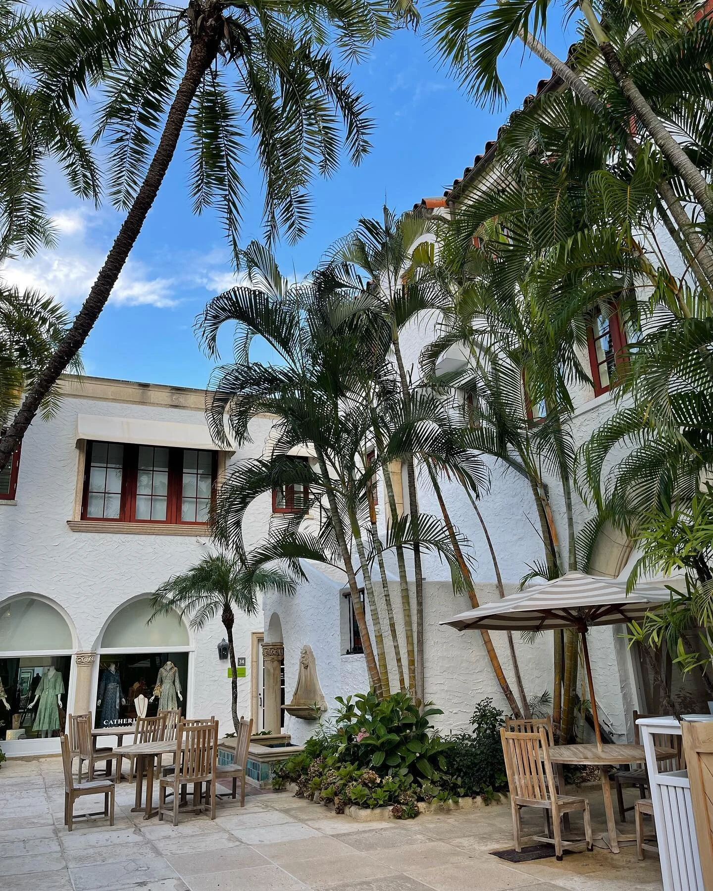 All I need are blue skies and palm trees. 🌿
#palmbeach #palmbeachisland #pbfl #thepalmbeachlife #thepalmbeaches