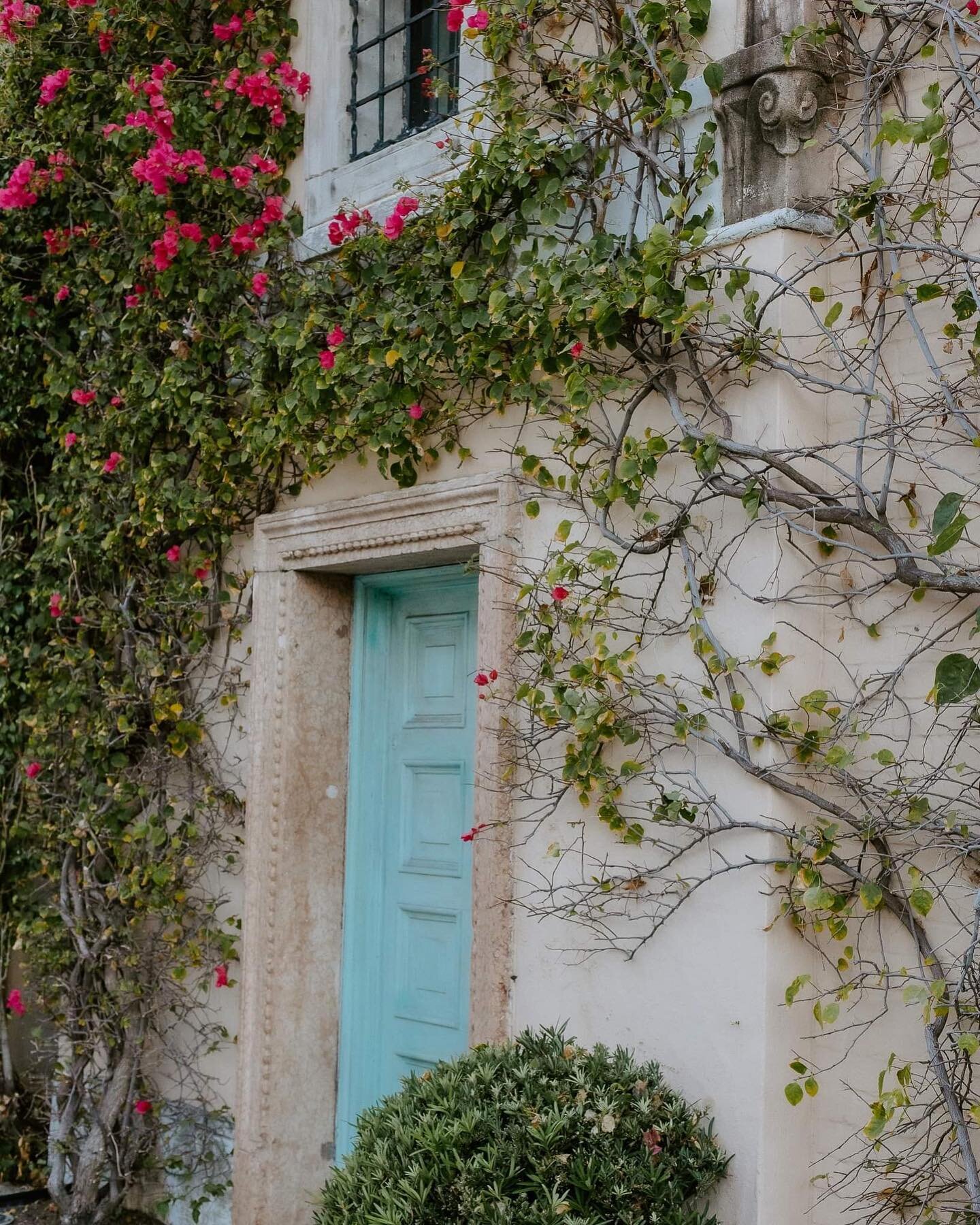 I&rsquo;m really loving the details lately&hellip; and Palm Beach is full of them. Small vines, blooming flowers, unique colors, and home decor you only see here. Follow along for more beautiful details and highlights on everything #PalmBeach 🌿
Phot