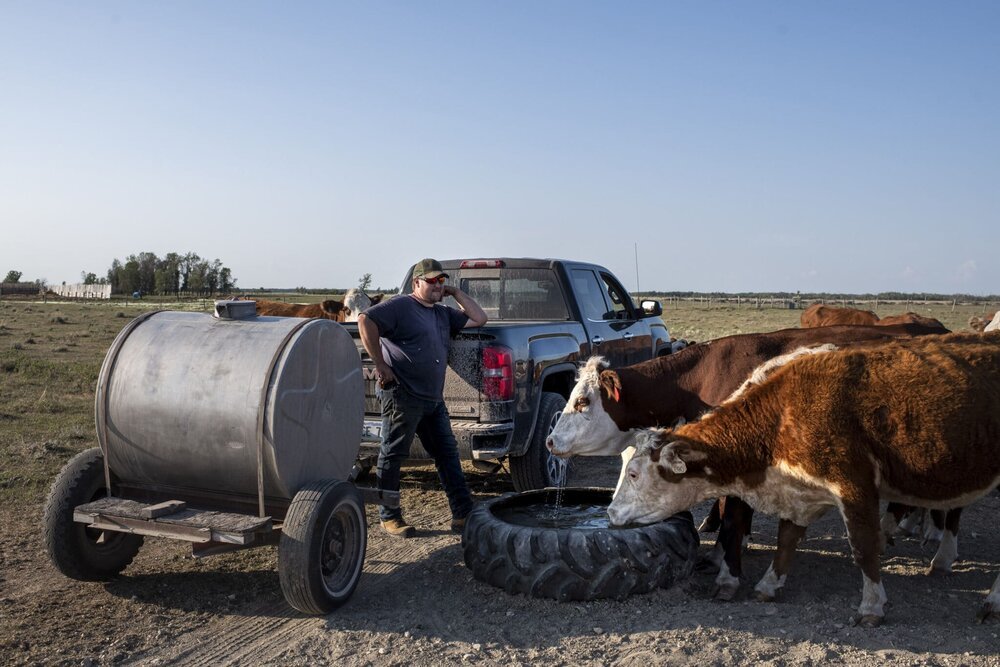 Manitoba_drought-climate-change-The-Narwhal-Aaron-Vincent-Elkaim-07-2048x1366.jpeg