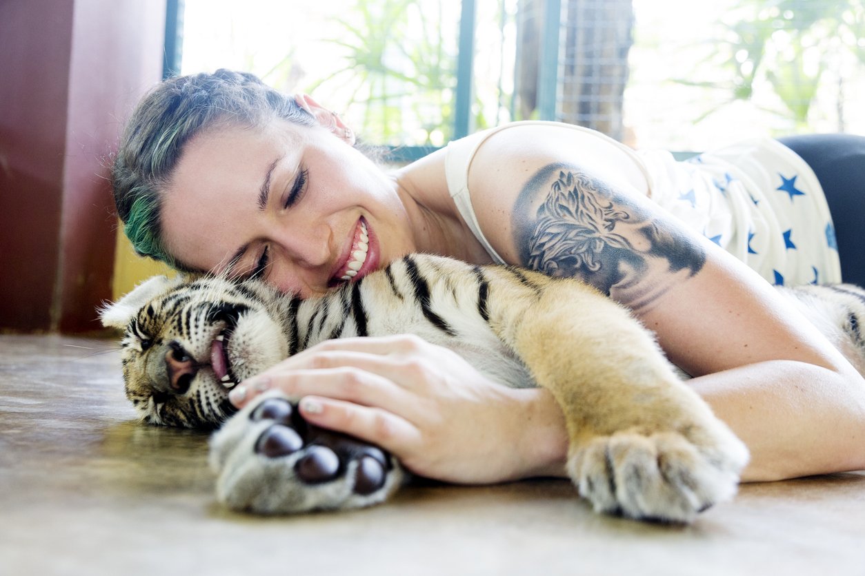Woman taming a baby tiger, instead of feeling stressed out by divorce