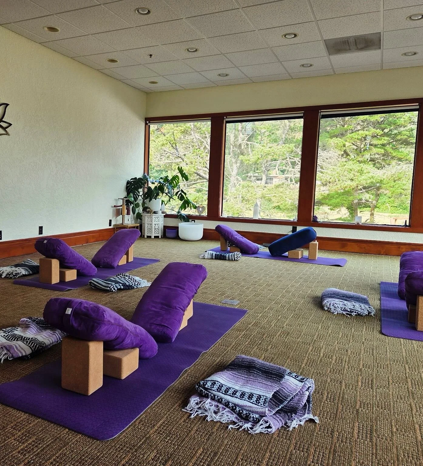 Danielle&rsquo;s yoga class setup looks heavenly! We just started two new class series Danielle&rsquo;s Gentle/Yin yoga on Thursdays and Pilates Style mat classes with me! (Arielle ) on Wednesdays. 

Our group series offer you small class sizes so ea