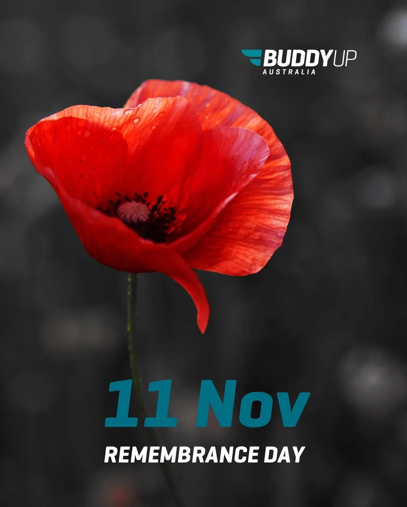 Today we pause to honour all who have served and sacrificed for our freedom.

Their courage, mateship and service continue to inspire us every day.

At Buddy Up Australia, we remember those who gave everything and those who continue to serve our comm