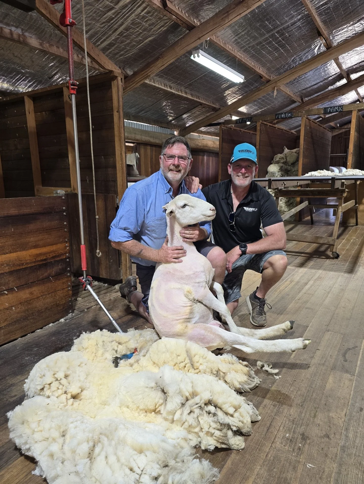 Team Hobart spent a day over the weekend at Curringa Farm celebrating another successful year of BUA!

Members were treated to a farm tour, sheep dog demonstrations, shearing demonstrations, feeding the cool highland cows and a beautiful sit down XMA