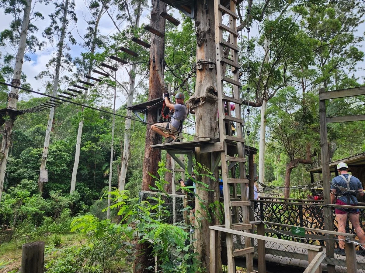 Full crew ✅
Blue skies ✅ 
Tree top challenge completed ✅ 

Team QLD out here conquering the heights at @treetopchallenge_ on the Gold Coast ☀️

#support #events #adf #firstresponders #community