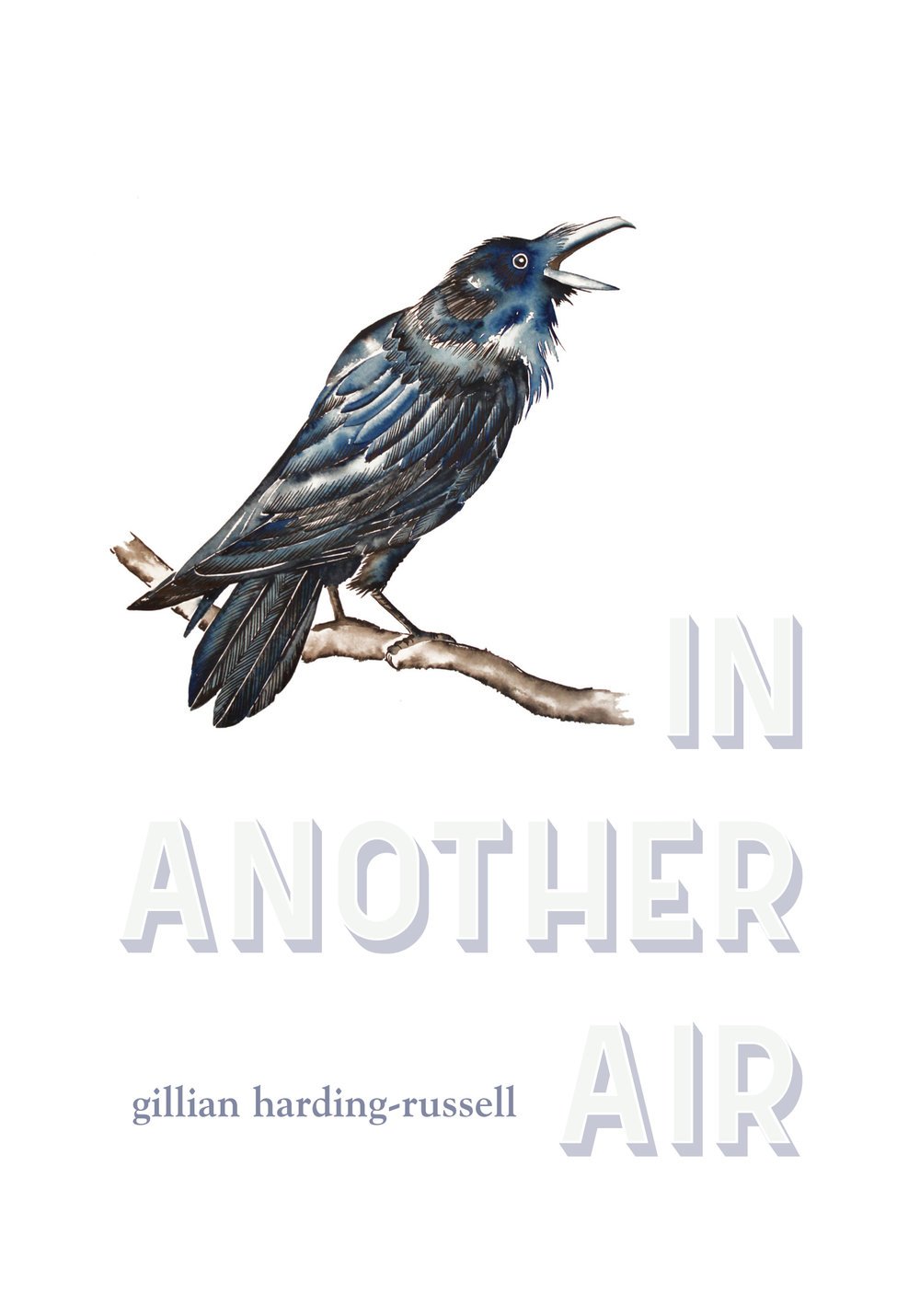 In Another Air — Radiant Press