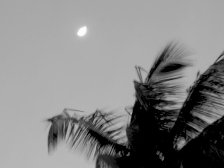 Moon Phases