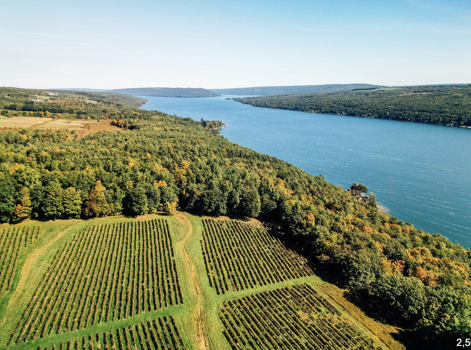 Wine Country dreaming…