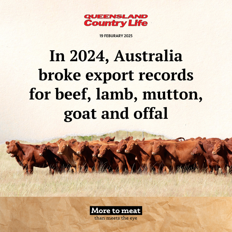 Red Meat Record Breaking