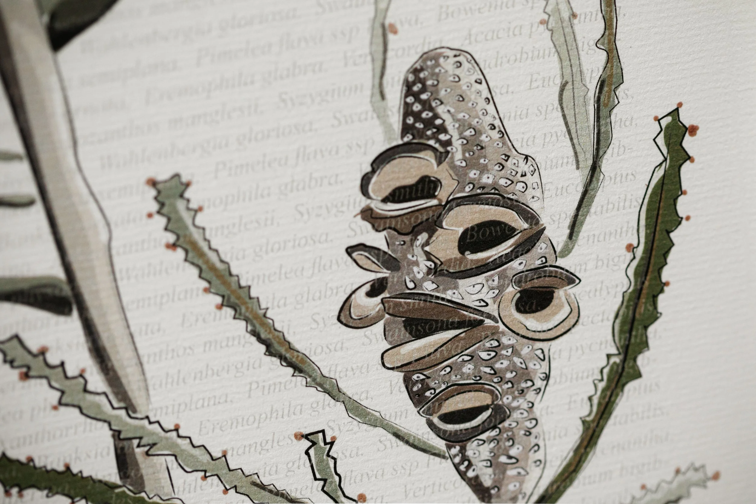 'Botanical Diptych: Lifecycles'