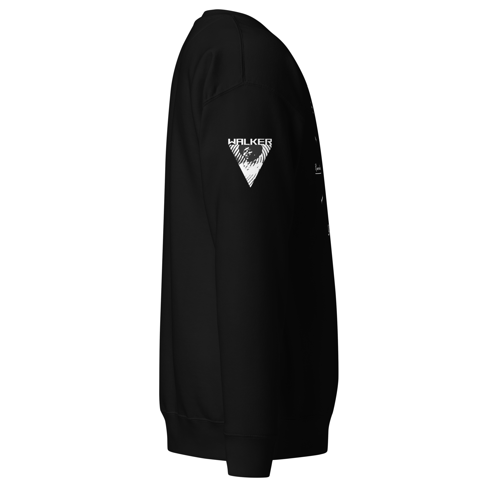 unisex-premium-sweatshirt-black-right-65a0f7488780b.png