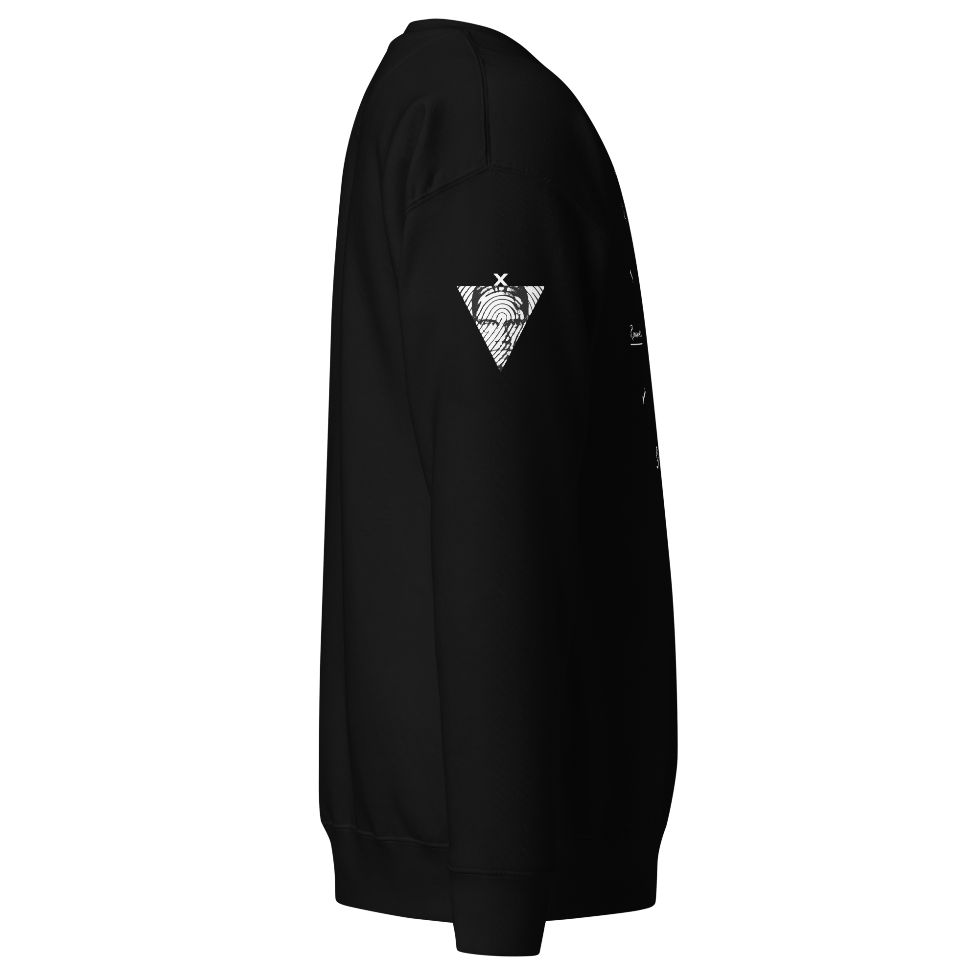unisex-premium-sweatshirt-black-right-65a10dab56a8b.png