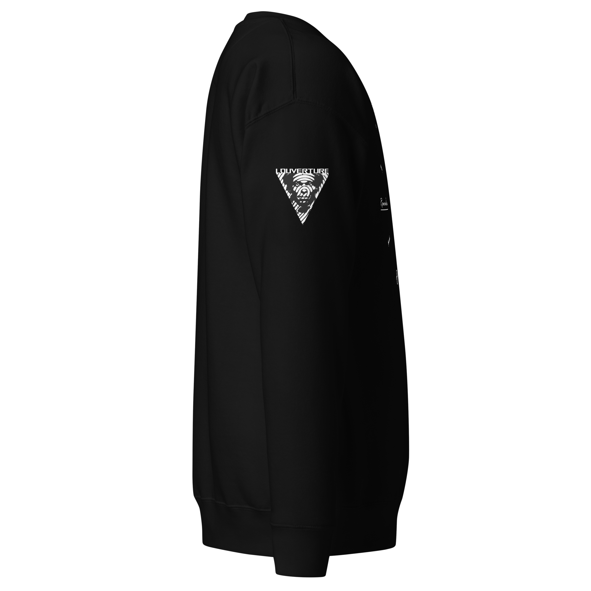 unisex-premium-sweatshirt-black-right-65a2b40642e74.png