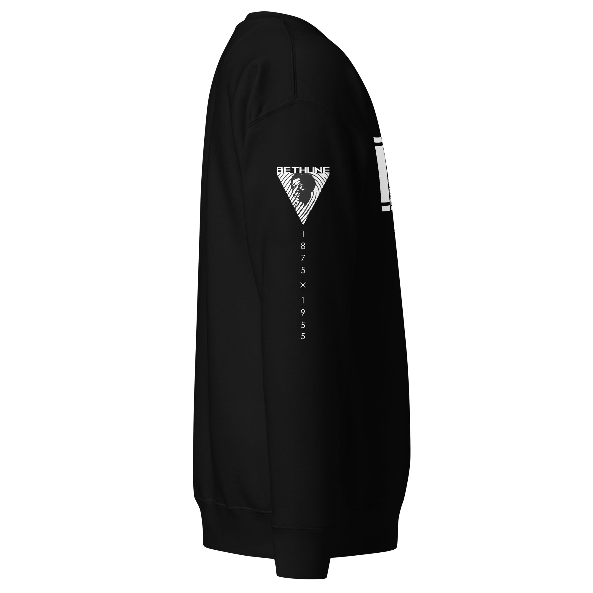unisex-premium-sweatshirt-black-right-65a797c0eb104.png