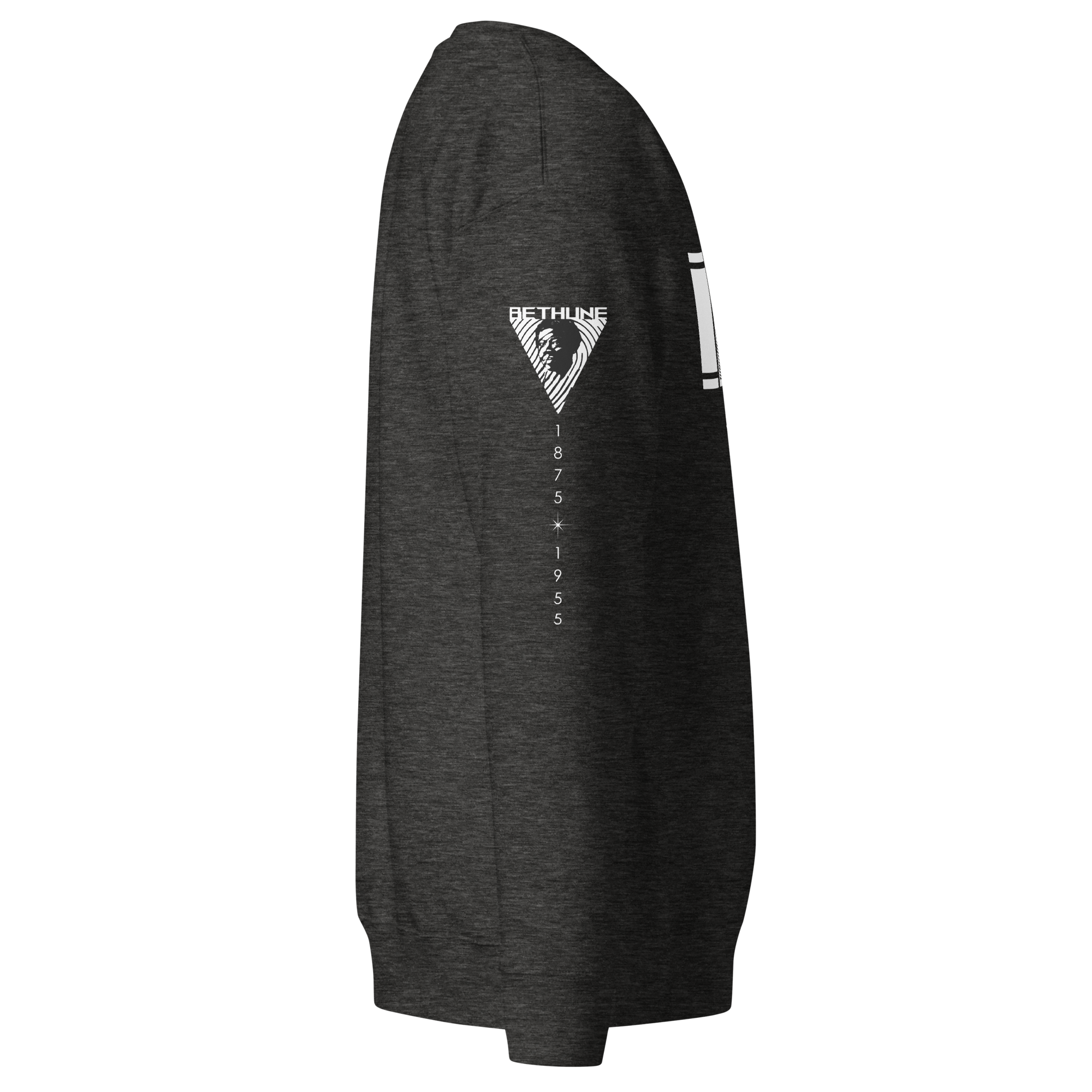 unisex-premium-sweatshirt-charcoal-heather-right-65a797c0ed81e.png