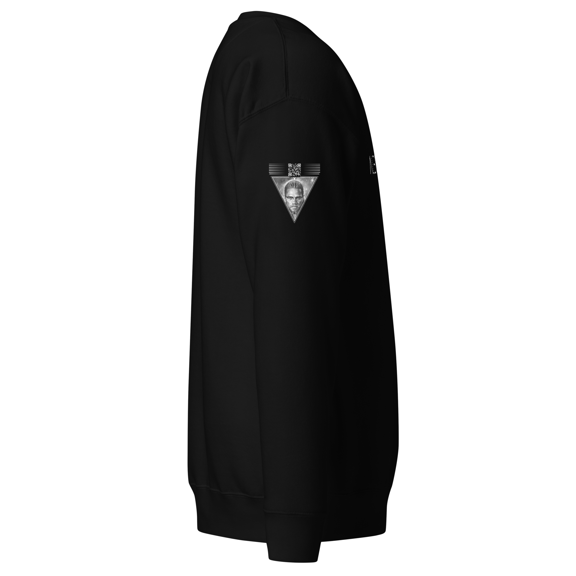 unisex-premium-sweatshirt-black-right-6790ae383b5cc.png
