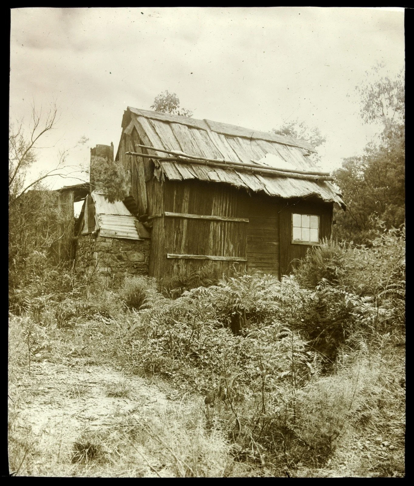 Rethinking Home: The Quiet Power of Enough