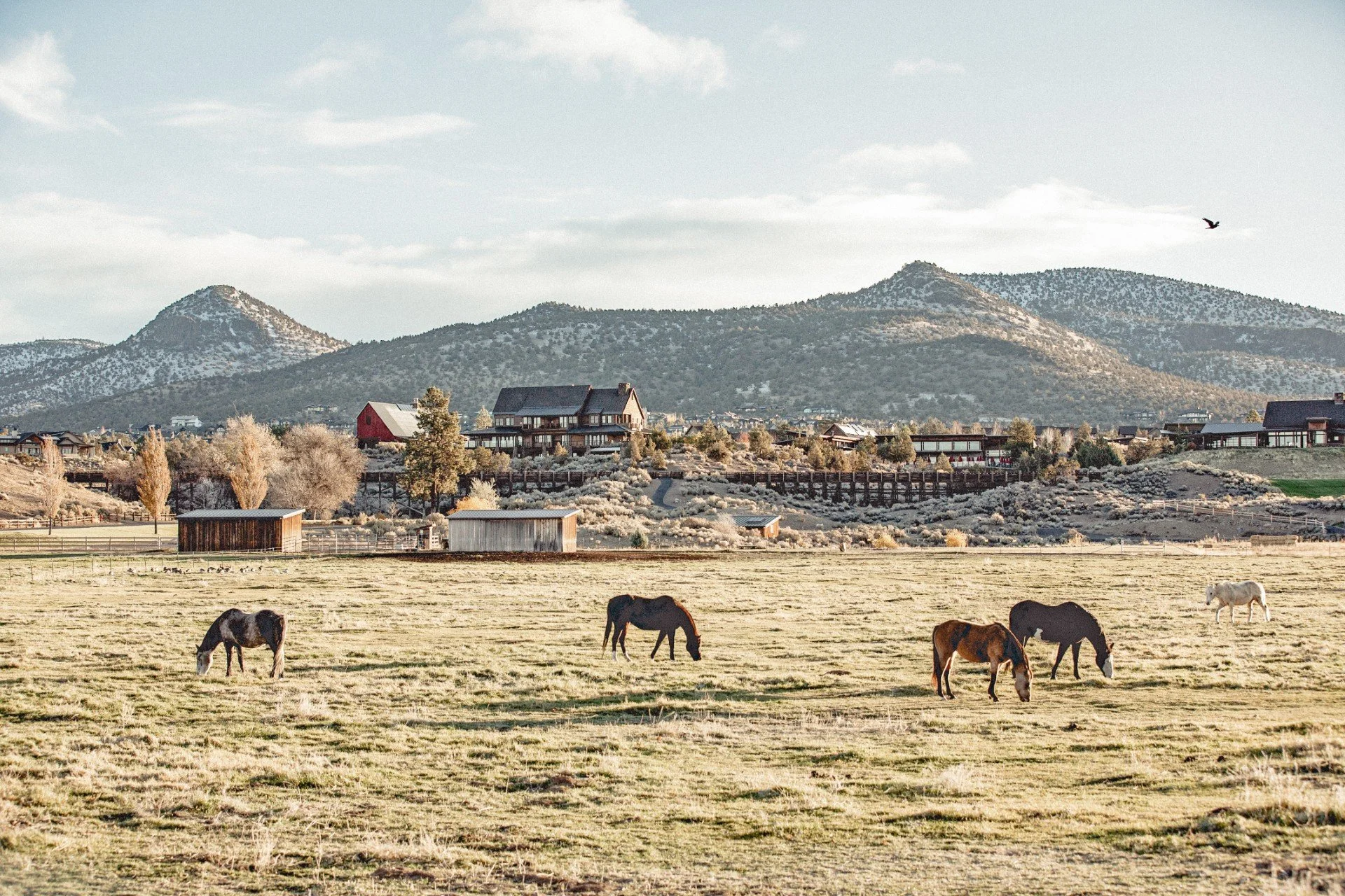 Brasada Ranch.jpg