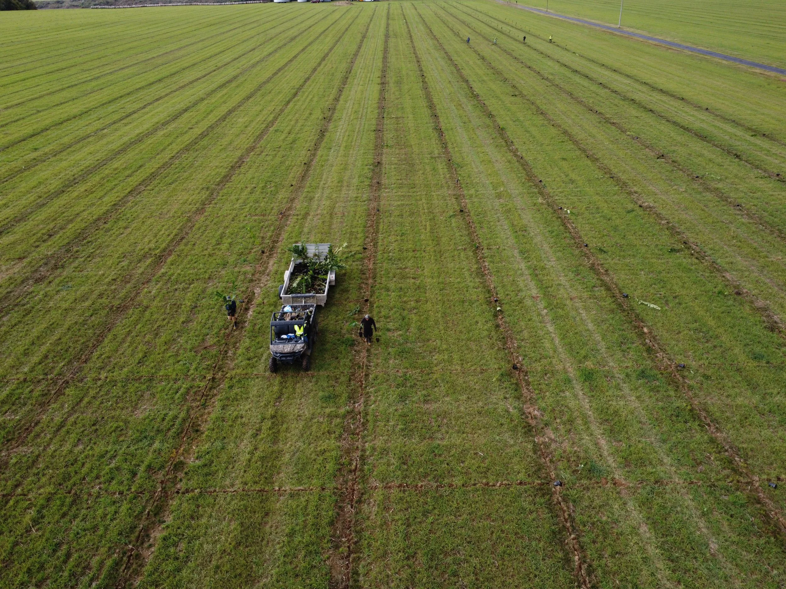 DJI_0760.JPG
