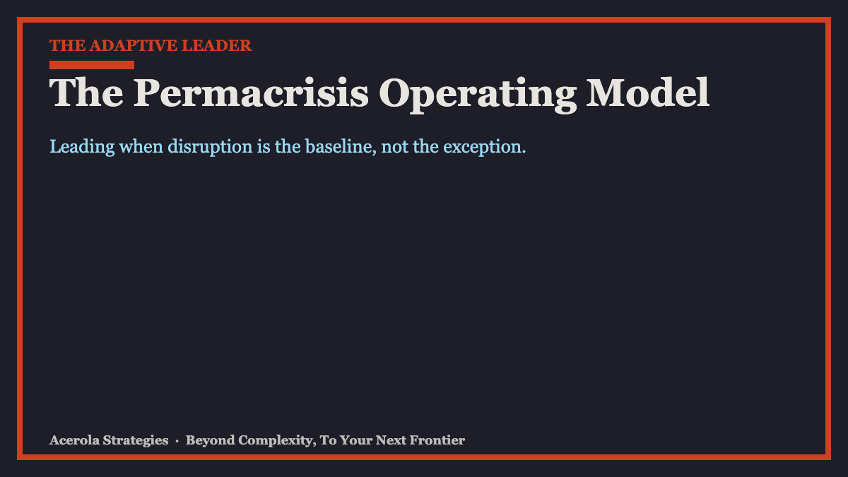 The Permacrisis Operating Model: Leading When Disruption Is the Baseline, Not the Exception