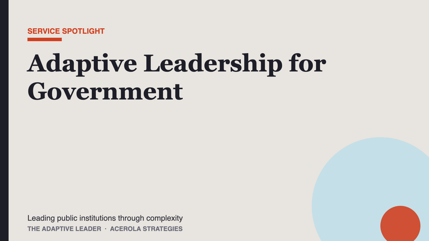 Adaptive Leadership for Government: Helping Public Institutions Lead Through Complexity