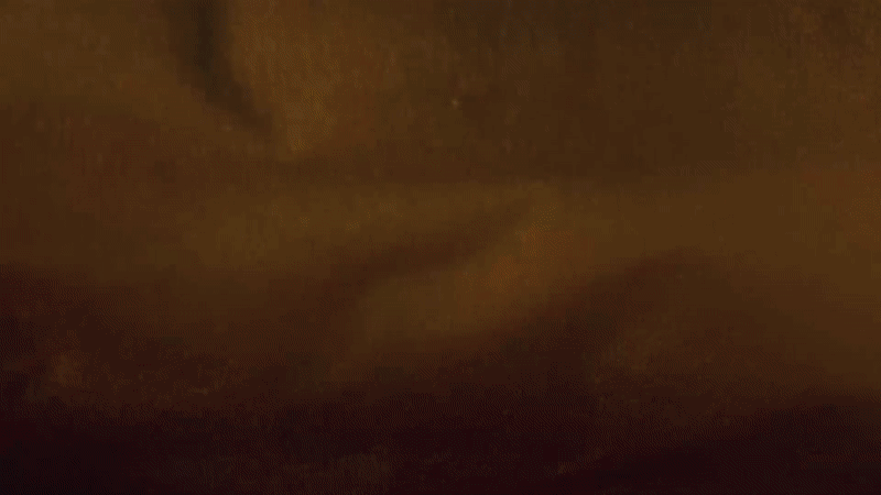 ezgif.com-video-to-gif+(2)+copy+2.gif