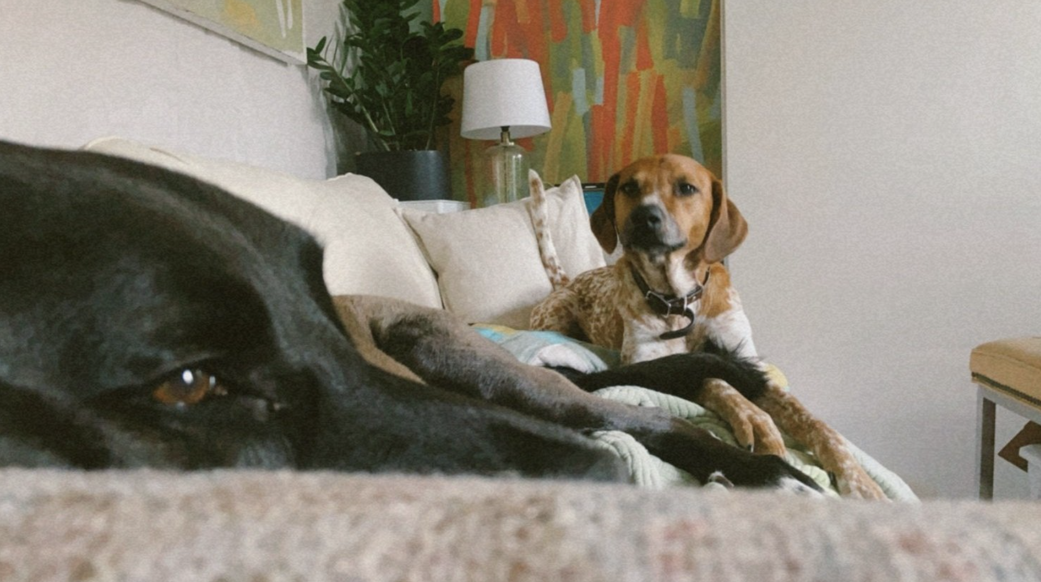 Screenshot 2024-05-12 at 7.22.52 AM.png