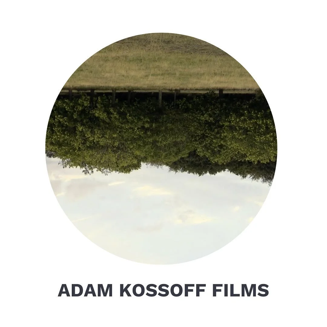 Film Screening: 
ADAM KOSSOFF RECENT SHORT FILMS
.
An anthology of&nbsp;films directed by Adam Kossoff
.
Thur 17th April / 19:00 - 22:30
.
Films about Wanstead Park, Walter Benjamin, Palestine-Israel and Refugees in the UK.
.
In The Loop Of History (