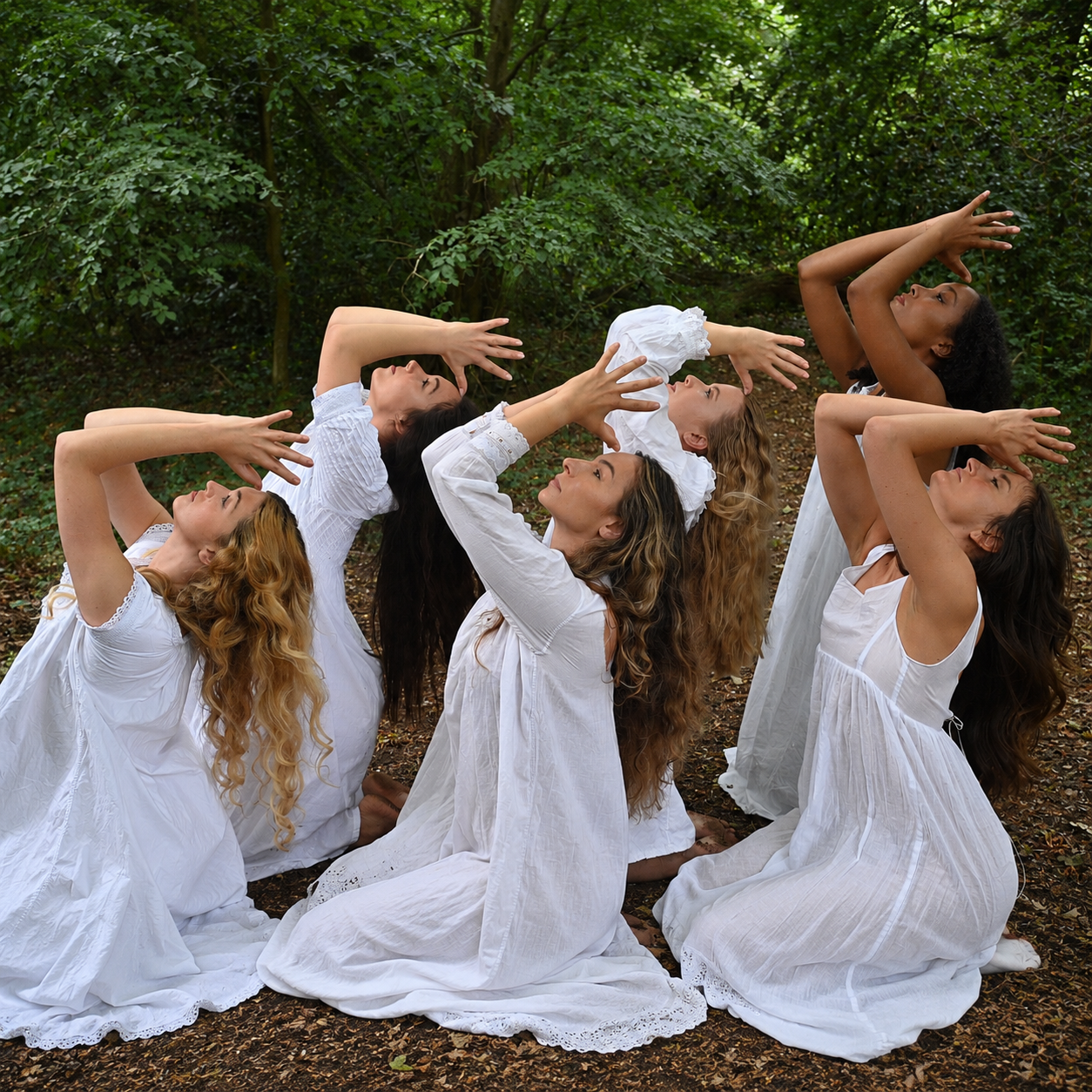 surdce dance collective - FREE Community Dance Workshop