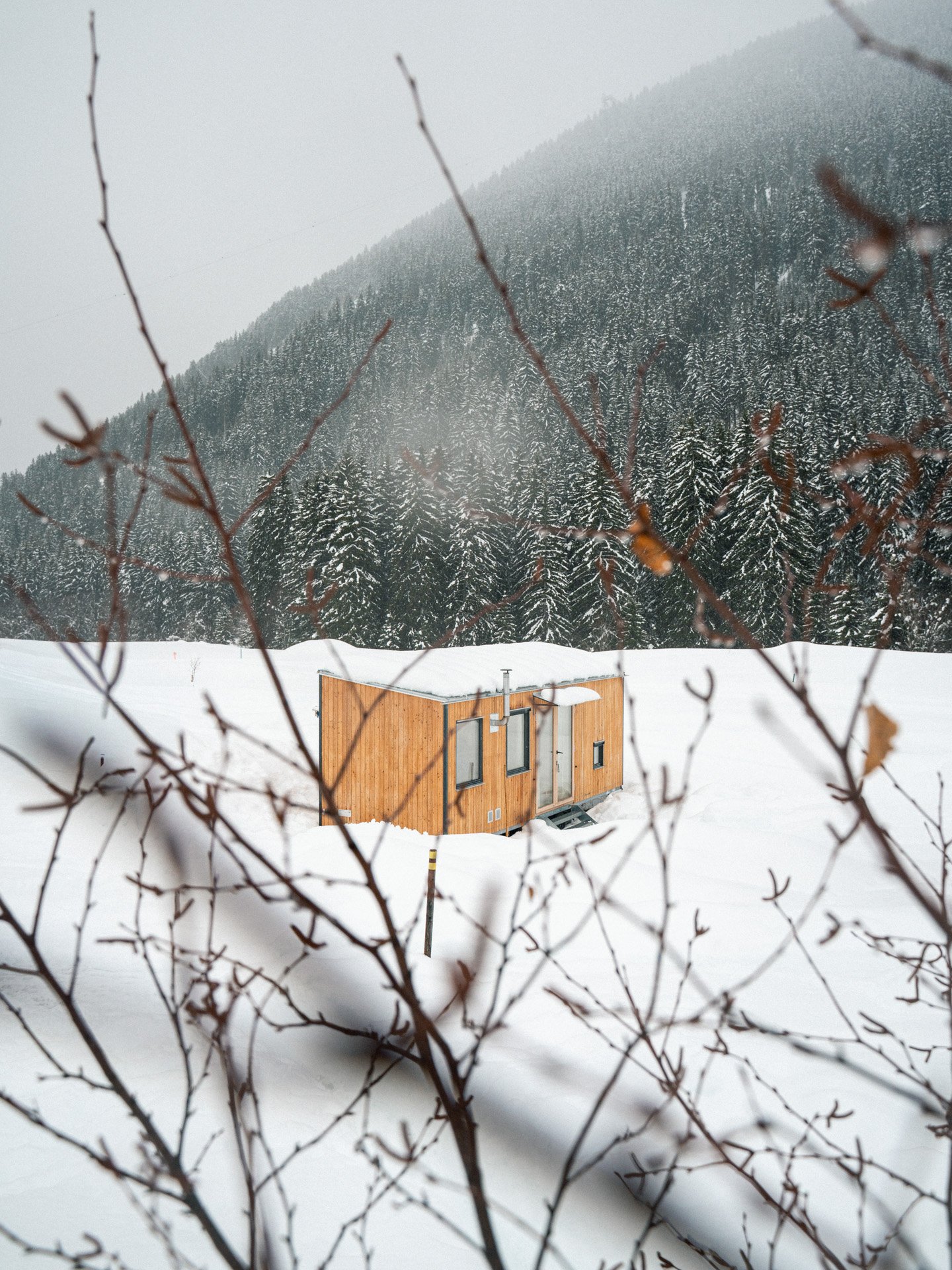 Selva_Paolo_Winter26 (24).jpeg