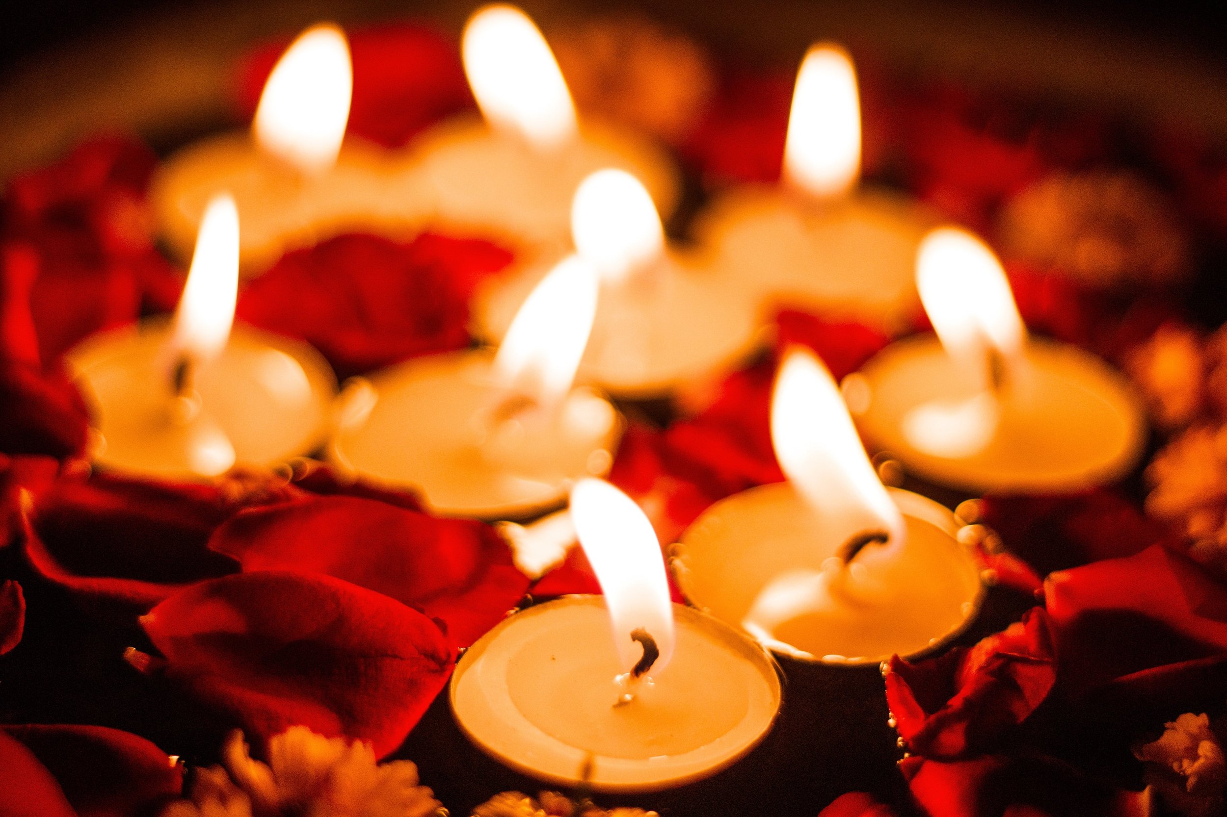 close-up-of-candles-and-petals.jpg