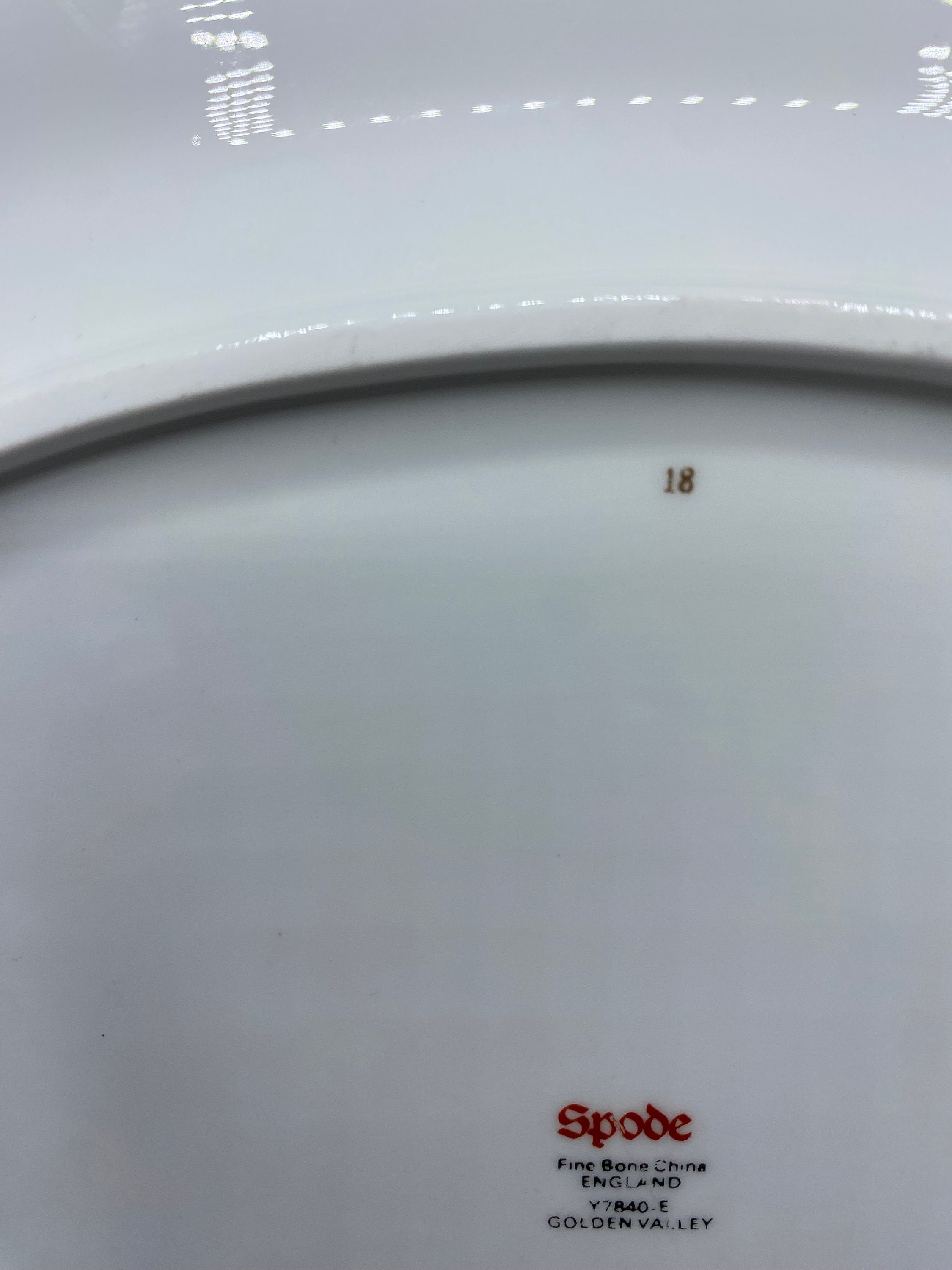 https://i.etsystatic.com/7697672/r/il/2e3b5e/5855289674/il_fullxfull.5855289674_qwhq.jpg