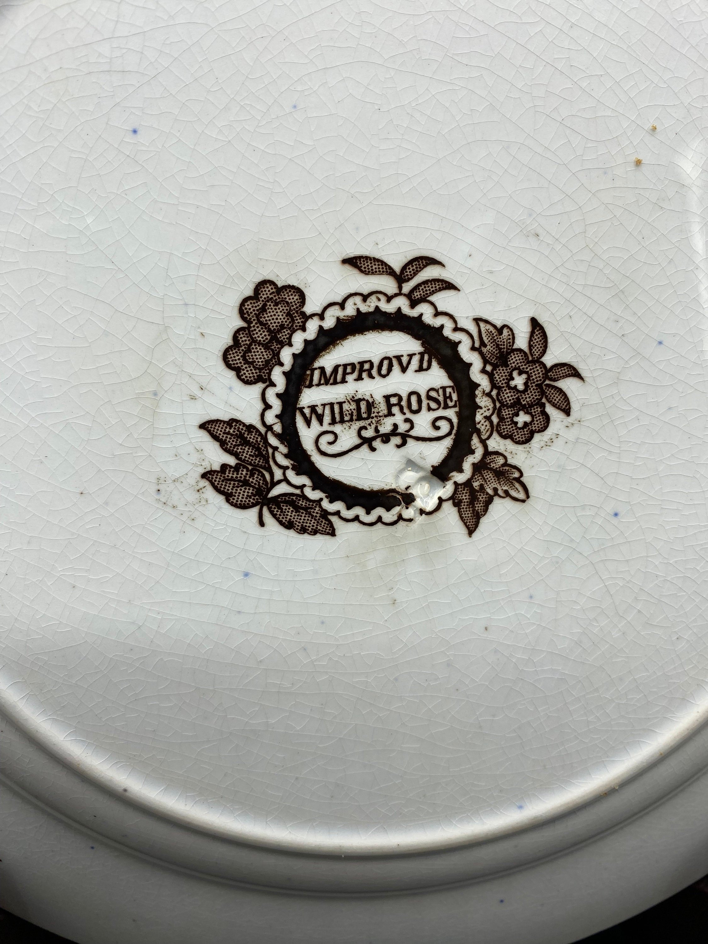 https://i.etsystatic.com/7697672/r/il/421c2f/4486135762/il_fullxfull.4486135762_5x9b.jpg