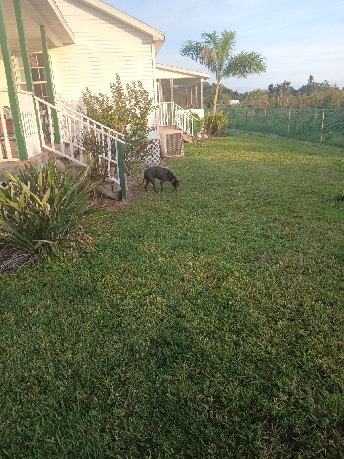 image000000.jpeg
