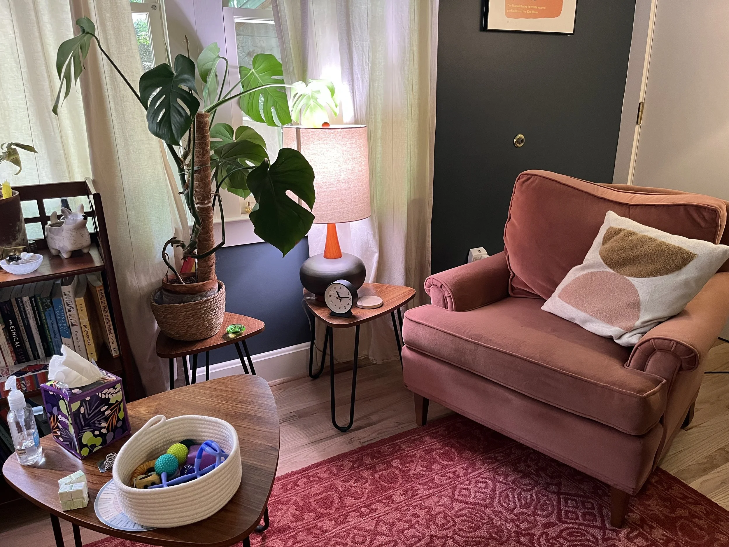 Another view of the office space at Taproot Counseling in Chapel Hill NC. There is a soft, pink chair with soft, lamp lighting. There are plants, books, and fidget toys available for clients sensory needs.