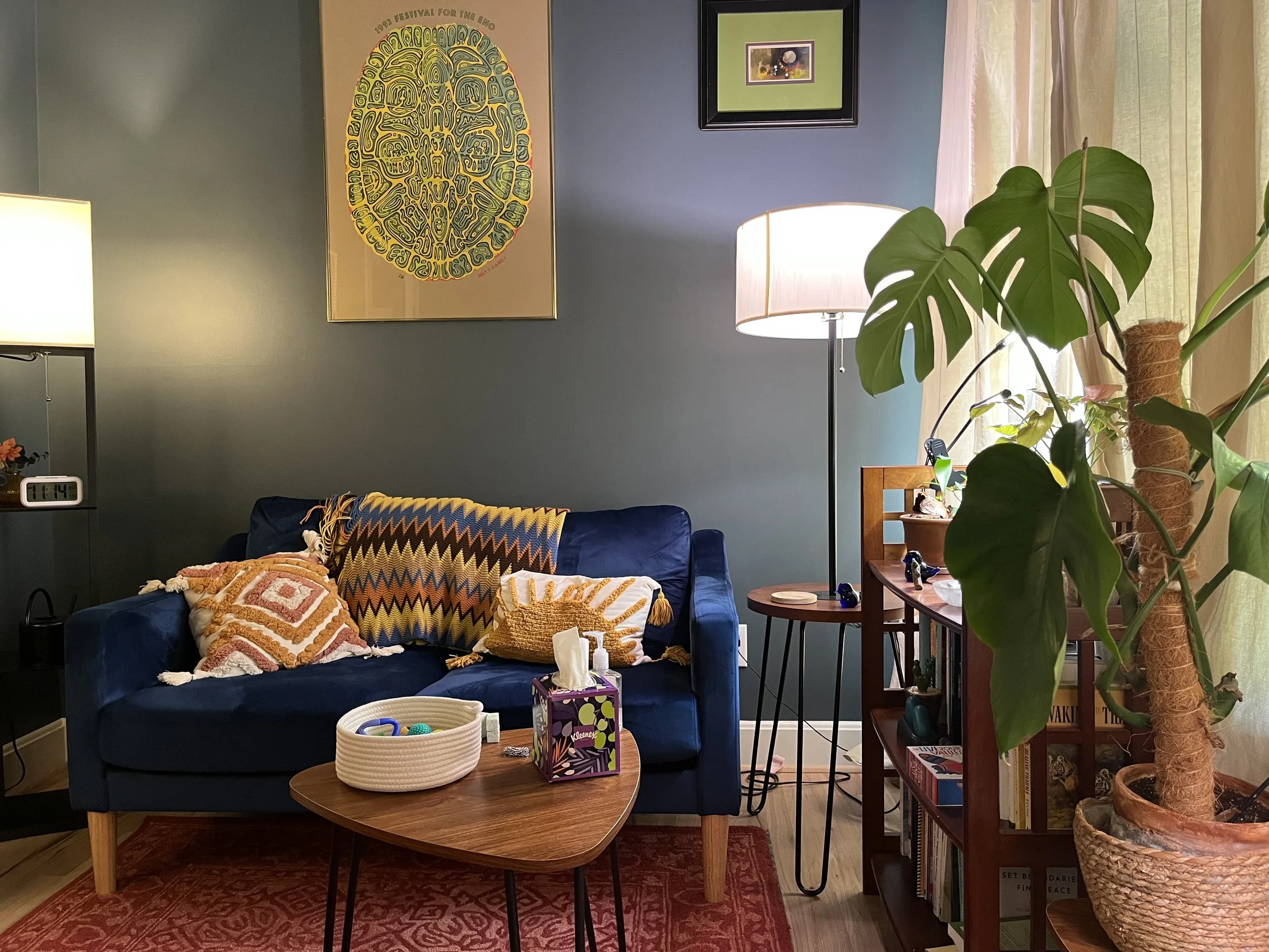 The office space at Taproot Counseling in Chapel Hill NC provides soft lighting , tasteful decor, comfortable seating, with an assortment of fidget toys for clients to use.
