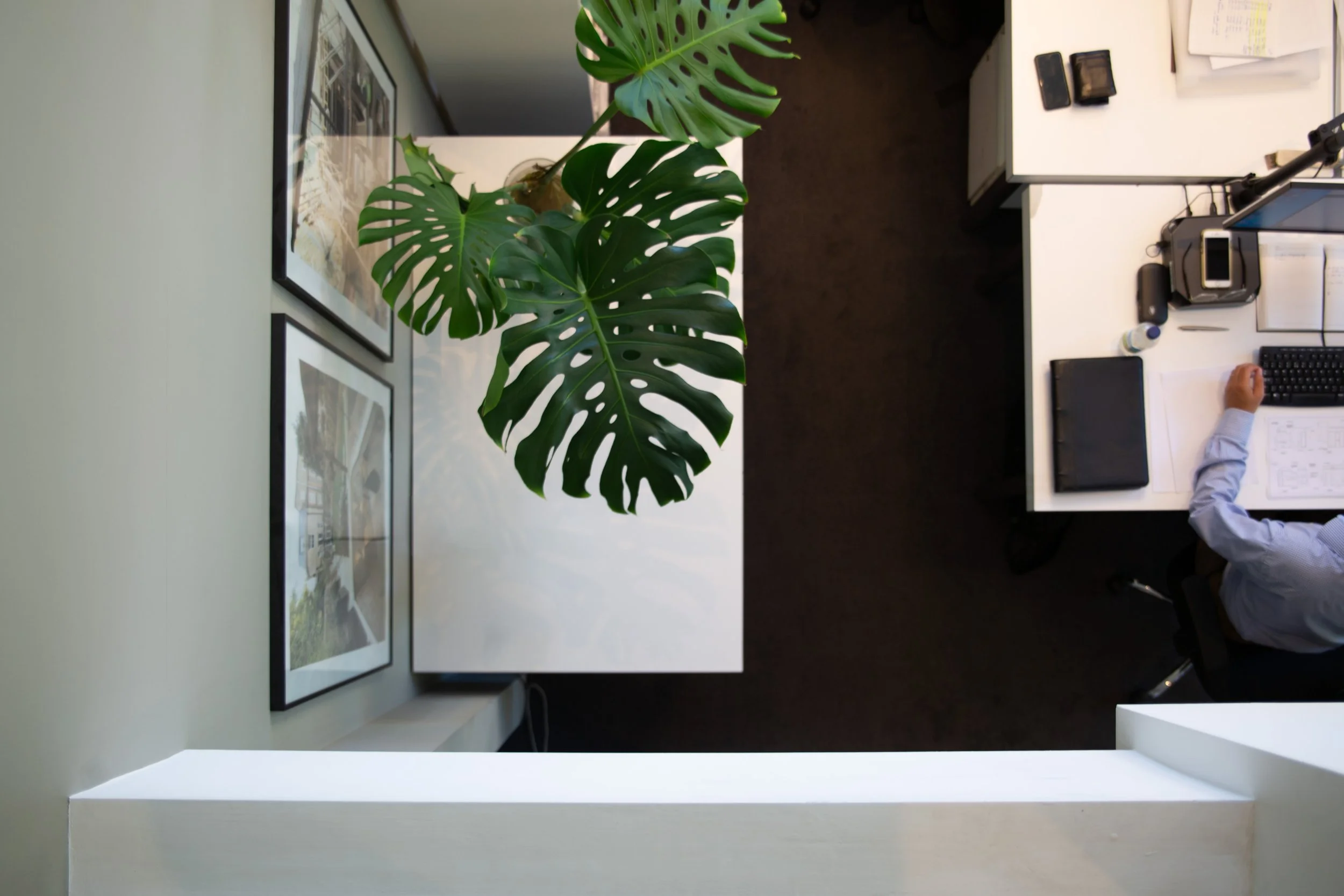 How JLE Studio Considers Sustainability within their Projects