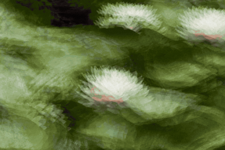 Letting Go story (1200 x 800 px)-5.gif