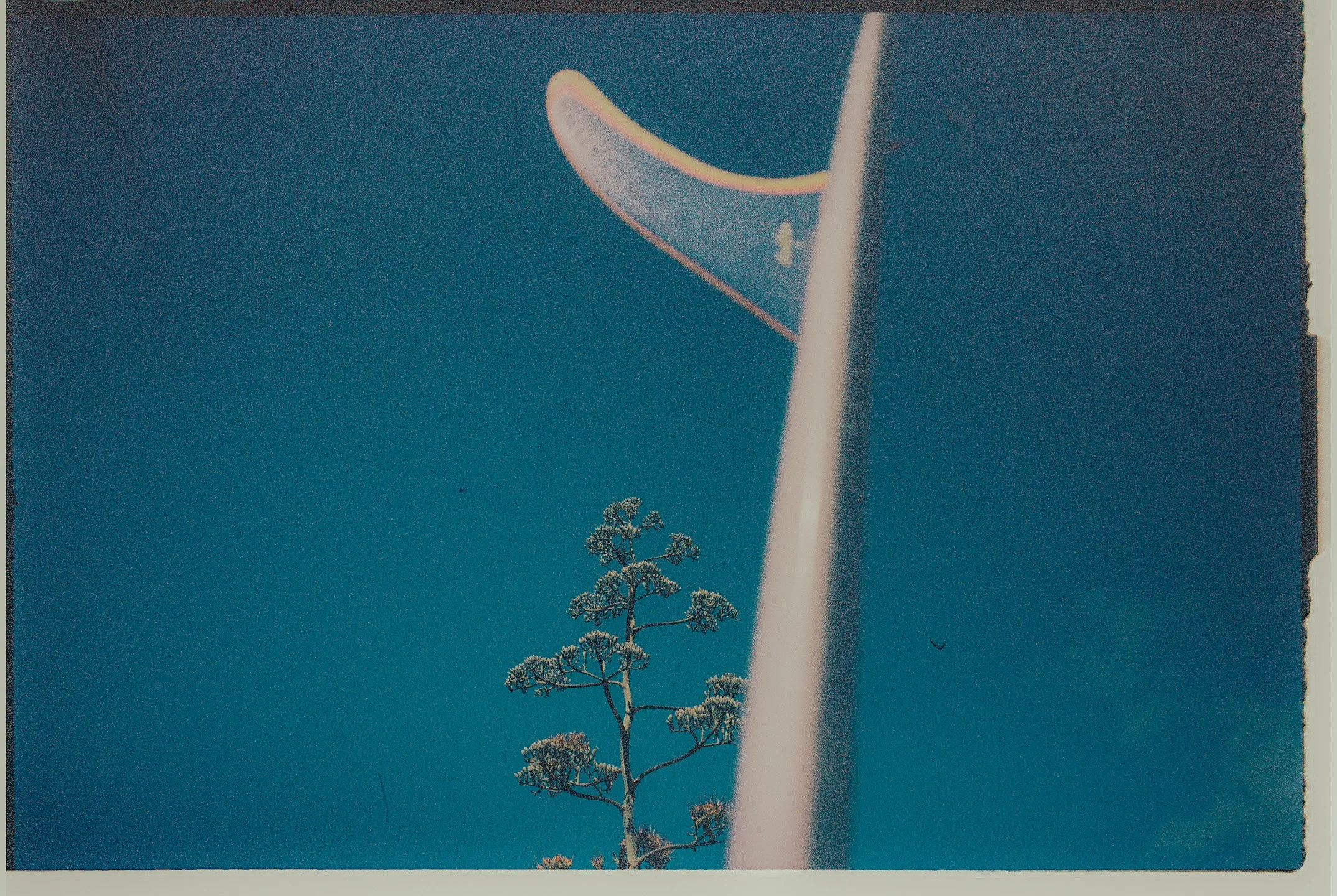 Echoes from the past #1