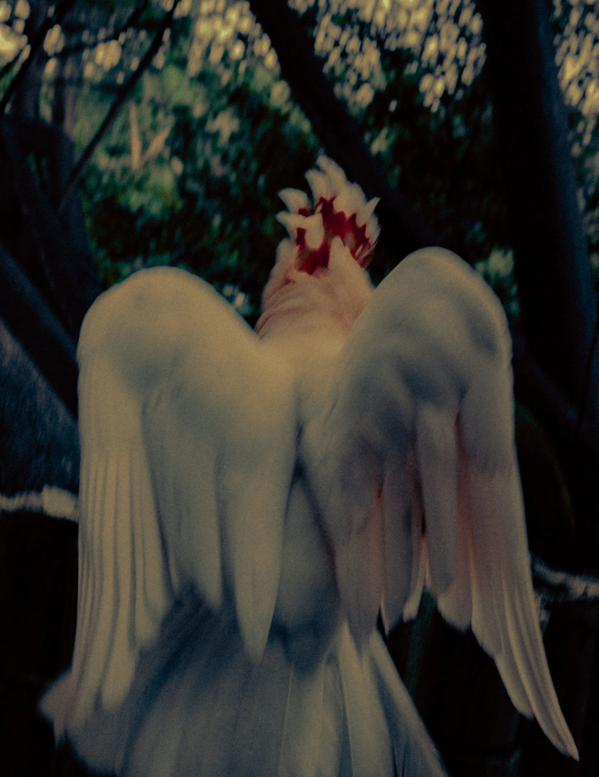 THE PATH #13 – To Feel Everything in Every Way 🥀