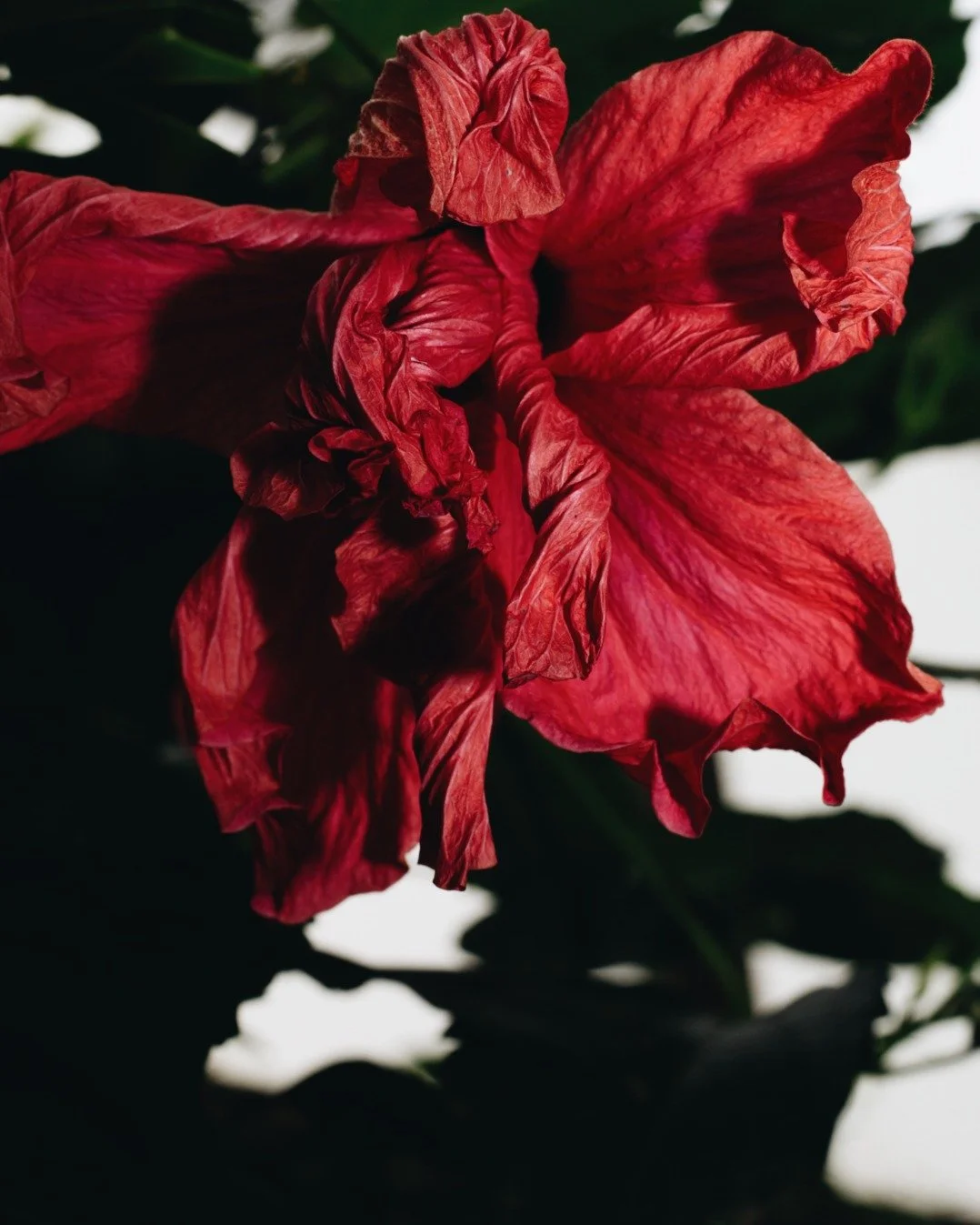 Marie Ouvrard - Feb 26