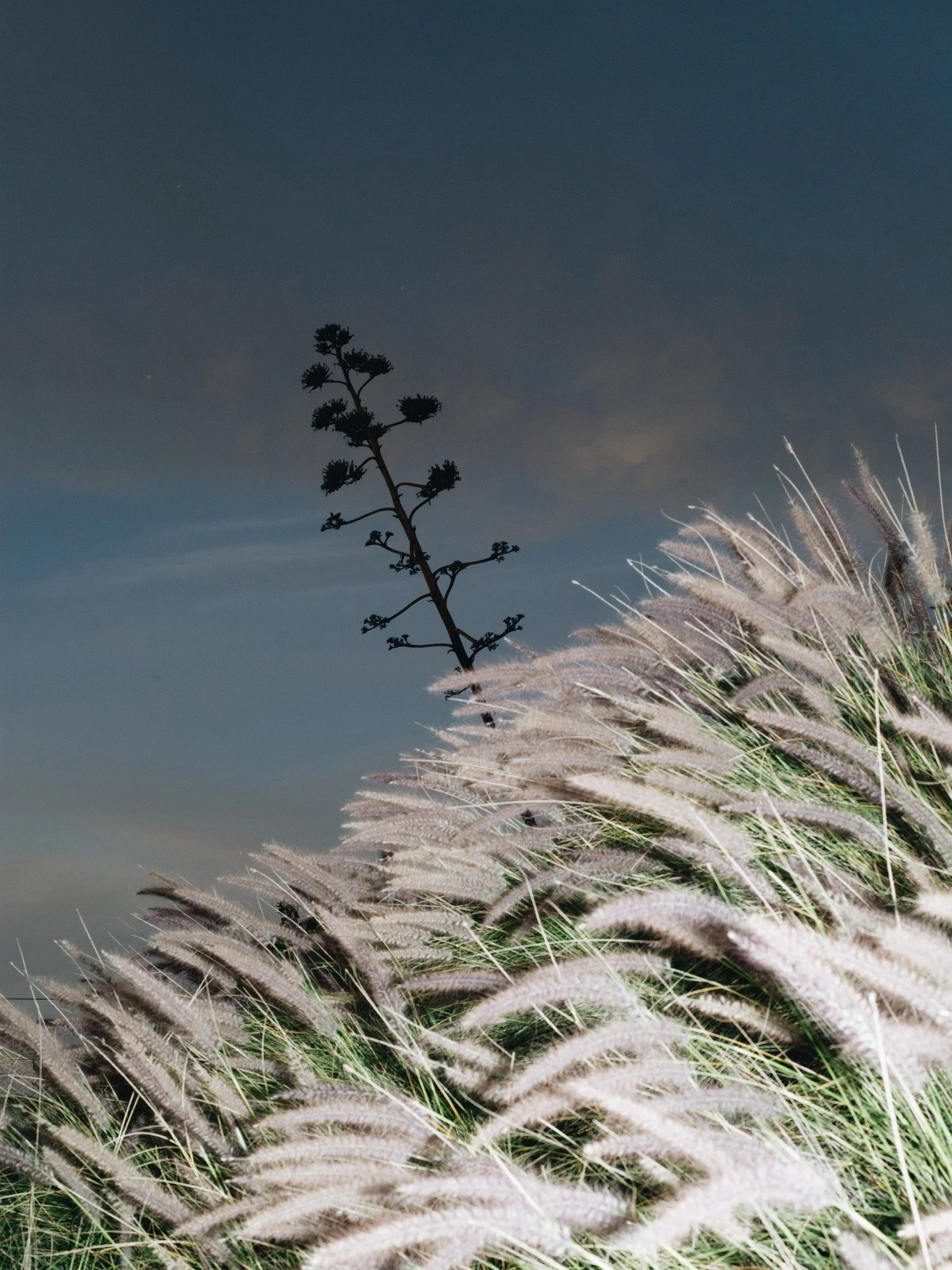 Marie Ouvrard- Feb 26