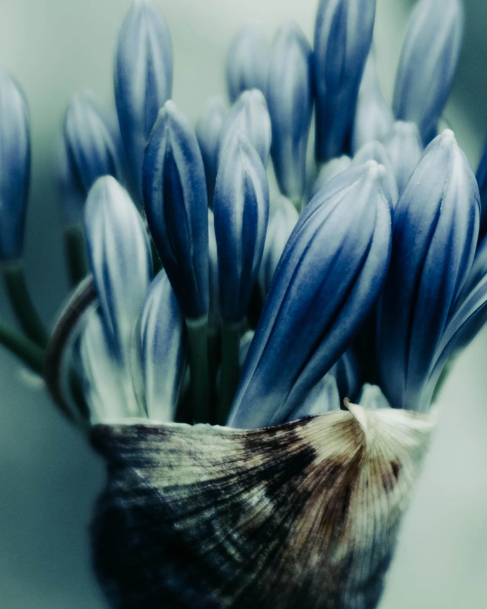 Robin Timmermans august 25