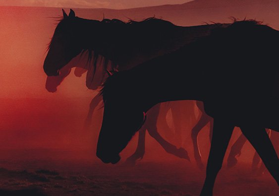 Wild Horses Szanella1.jpg